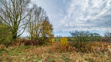 whitfield-valley-and-chatterley-PLGM-F24_12078r1 11th November 2024: Whitfield Valley Nature Reserve: © 2024 Paul L.G. Morris