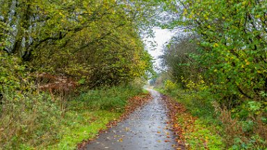 whitfield-valley-and-chatterley-PLGM-F24_12087r1 11th November 2024: Whitfield Valley Nature Reserve: © 2024 Paul L.G. Morris: Heading north