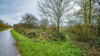 whitfield-valley-and-chatterley-PLGM-F24_12096r1 11th November 2024: Whitfield Valley Nature Reserve: © 2024 Paul L.G. Morris: Heading north