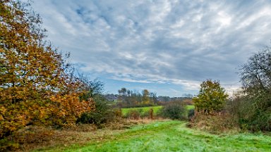 whitfield-valley-and-chatterley-PLGM-F24_12105r1 11th November 2024: Whitfield Valley Nature Reserve: © 2024 Paul L.G. Morris: Heading north