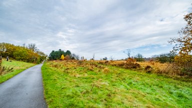 whitfield-valley-and-chatterley-PLGM-F24_12111r1 11th November 2024: Whitfield Valley Nature Reserve: © 2024 Paul L.G. Morris: Heading north