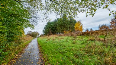 whitfield-valley-and-chatterley-PLGM-F24_12117r1 11th November 2024: Whitfield Valley Nature Reserve: © 2024 Paul L.G. Morris: Heading north