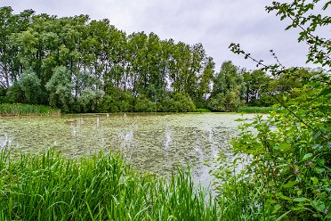 Staffs University Nature Reserve Staffordshire University Nature Reserve: © by the individual photographers