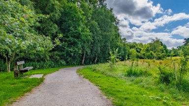 Biddulph-Grange-CP-PLGM-F24_6240r1 5th July 2024: Biddulph Grange Country Park: © 2024 Paul L.G. Morris