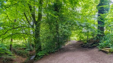 Biddulph-Grange-CP-PLGM-F24_6264r1 5th July 2024: Biddulph Grange Country Park: © 2024 Paul L.G. Morris: Path following the stream