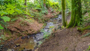 Biddulph-Grange-CP-PLGM-F24_6267r1 5th July 2024: Biddulph Grange Country Park: © 2024 Paul L.G. Morris: The stream