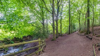 Biddulph-Grange-CP-PLGM-F24_6273r1 5th July 2024: Biddulph Grange Country Park: © 2024 Paul L.G. Morris: Path following the stream