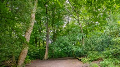 Biddulph-Grange-CP-PLGM-F24_6288r1 5th July 2024: Biddulph Grange Country Park: © 2024 Paul L.G. Morris