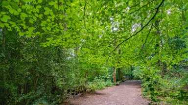 Biddulph-Grange-CP-PLGM-F24_6303r1 5th July 2024: Biddulph Grange Country Park: © 2024 Paul L.G. Morris