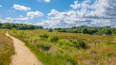 Wetley-Moor-NR-PLGM-F24_6740r1 8th July 2024: Wetley Moor Nature Reserve: © 2024 Paul L.G. Morris: View back the way we came