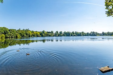 Westport Lake