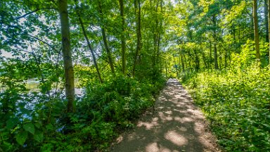 Westport-lake-PLGM-F24_8119r1 29th July 2024: Westport Lake Nature Reserve: © 2024 Paul L.G. Morris: The path around the smaller lake to the south