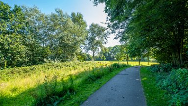 Westport-lake-PLGM-F24_8161r1 29th July 2024: Westport Lake Nature Reserve: © 2024 Paul L.G. Morris: The path around the smaller lake to the south