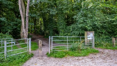 Hem-Heath-NR-PLGM-F24_8403r1 30th July 2024: Hem Heath Nature Reserve: Entrance from Trentham Road on the north side: © 2024 Paul L.G. Morris