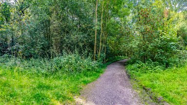 Hem-Heath-NR-PLGM-F24_8436r1x4j1 30th July 2024: Hem Heath Nature Reserve: Showing paths left and right: © 2024 Paul L.G. Morris