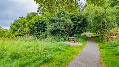 Cecilly-Brook-NR-PLGM-F24_9303r1 5th August 2024: Cecilly Brook Nature Reserve: Another seat: © 2024 Paul L.G. Morris