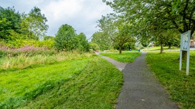 Cecilly-Brook-NR-PLGM-F24_9323r1 5th August 2024: Cecilly Brook Nature Reserve: Following the path, approaching Ashbourne Road: © 2024 Paul L.G. Morris