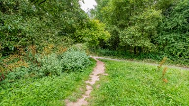 Cecilly-Brook-NR-PLGM-F24_9572r1 5th August 2024: Cecilly Brook Nature Reserve: Accessing the reserve from the rear of the leisure centre : Follow the path to join the surfaced path: © 2024...