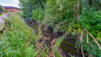 Staffs-Uni-NR-PLGM-F24_9807r1-1 15th August 2024: Staffordshire University Nature Reserve: The river from the path on the western side of the river looking upstream: © 2024 Paul L.G. Morris