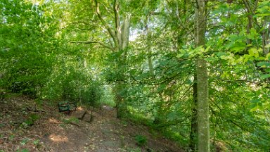 Greenway-bank-knypersley-PLGM-F24_11408r1 6th September 2024: Greenway Bank and Knypersley Reservoir: Following the path to the Jubilee arboretum - a seat with a view: © 2024 Paul L.G. Morris