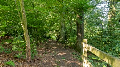 Greenway-bank-knypersley-PLGM-F24_11420r1 6th September 2024: Greenway Bank and Knypersley Reservoir: Following the path around the Jubilee arboretum: © 2024 Paul L.G. Morris