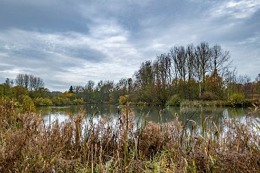 Whitfield Valley N.R. and Chatterley Whitfield C.P.