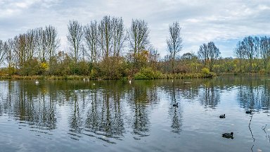 whitfield-valley-and-chatterley-PLGM-F24_12039r1x6j1 11th November 2024: Whitfield Valley Nature Reserve: © 2024 Paul L.G. Morris: Panoramic view of Ford Green Lake