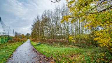 whitfield-valley-and-chatterley-PLGM-F24_12072r1 11th November 2024: Whitfield Valley Nature Reserve: © 2024 Paul L.G. Morris: Heading north