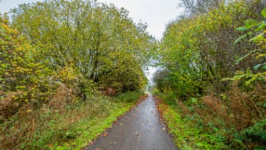 whitfield-valley-and-chatterley-PLGM-F24_12084r1 11th November 2024: Whitfield Valley Nature Reserve: © 2024 Paul L.G. Morris: Heading north