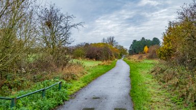 whitfield-valley-and-chatterley-PLGM-F24_12102r1 11th November 2024: Whitfield Valley Nature Reserve: © 2024 Paul L.G. Morris: Heading north