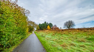 whitfield-valley-and-chatterley-PLGM-F24_12114r1 11th November 2024: Whitfield Valley Nature Reserve: © 2024 Paul L.G. Morris: Heading north