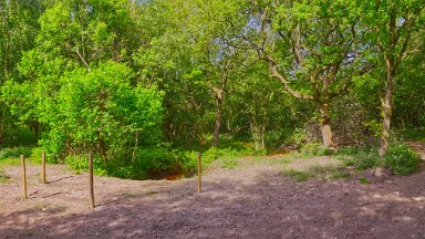 F25_1083 16th May 2025: Parrots Drumble Nature Reserve: © 2025 Paul L.G. Morris: A choice of routes. Right leads out of the reserve. Left goes along by the farmland. We...