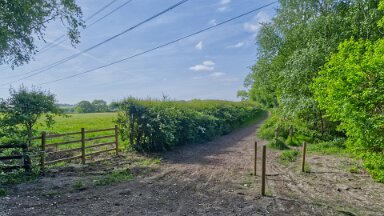 F25_1099 16th May 2025: Parrots Drumble Nature Reserve: © 2025 Paul L.G. Morris: Path to the left along farmland