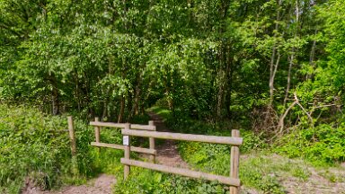 F25_1104 16th May 2025: Parrots Drumble Nature Reserve: © 2025 Paul L.G. Morris.: Central pathway into the wood