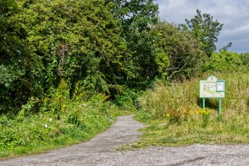 Hartshill-Park-PLGM-F25_1452r1 8th July 2025: Hartshill Park: © 2025 Paul L.G. Morris