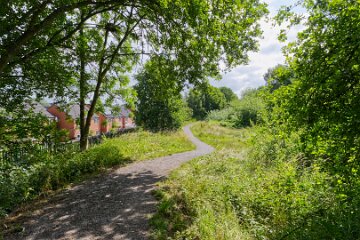 Hartshill-Park-PLGM-F25_1470r1 8th July 2025: Hartshill Park: © 2025 Paul L.G. Morris