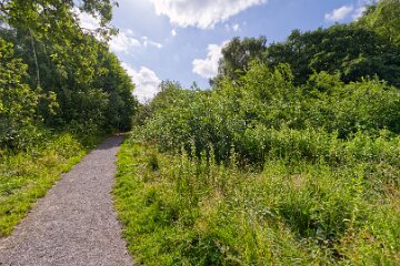 Hartshill-Park-PLGM-F25_1482r1 8th July 2025: Hartshill Park: © 2025 Paul L.G. Morris