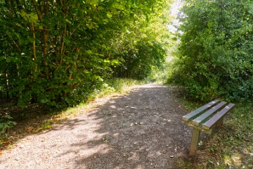 Hartshill-Park-PLGM-F25_1485r1 8th July 2025: Hartshill Park: © 2025 Paul L.G. Morris