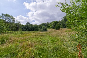 Hartshill-Park-PLGM-F25_1521r1 8th July 2025: Hartshill Park: © 2025 Paul L.G. Morris