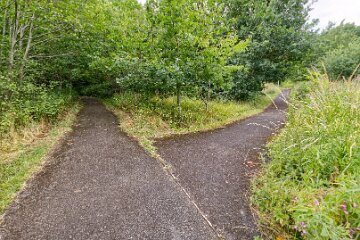 Hartshill-Park-PLGM-F25_1530r1 8th July 2025: Hartshill Park: © 2025 Paul L.G. Morris