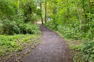 Hartshill-Park-PLGM-F25_1554r1 8th July 2025: Hartshill Park: © 2025 Paul L.G. Morris