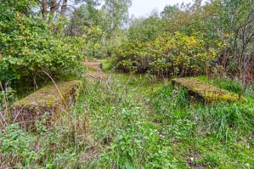 Park-Hall-CP-PLGM-H25_8815r1 6th October 2025: Park Hall Country Park: © 2025 Paul L.G. Morris: