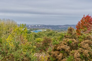 Park-Hall-CP-PLGM-H25_8851r1 6th October 2025: Park Hall Country Park: © 2025 Paul L.G. Morris: View