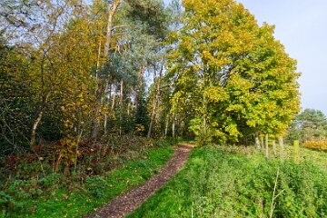 Park-Hall-CP-PLGM-F25_3911r1 30th October 2025: Park Hall Country Park: © 2025 Paul L.G. Morris