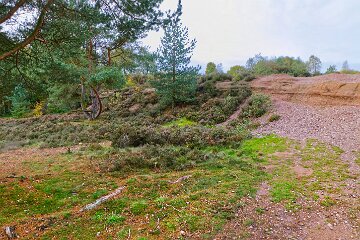 Park-Hall-CP-PLGM-F25_3953r1x2j1 30th October 2025: Park Hall Country Park: © 2025 Paul L.G. Morris: Rock strata near Top Pool
