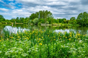 Whitfield Valley Nature Reserve 21st May 2024: Whitfield Valley Nature Reserve: © 2024 Paul L.G. Morris