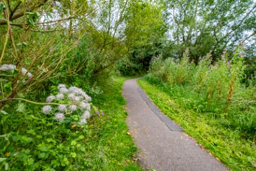 Cecilly Brook Nature Reserve 5th August 2024: Cecilly Brook Nature Reserve: © 2024 Paul L.G. Morris